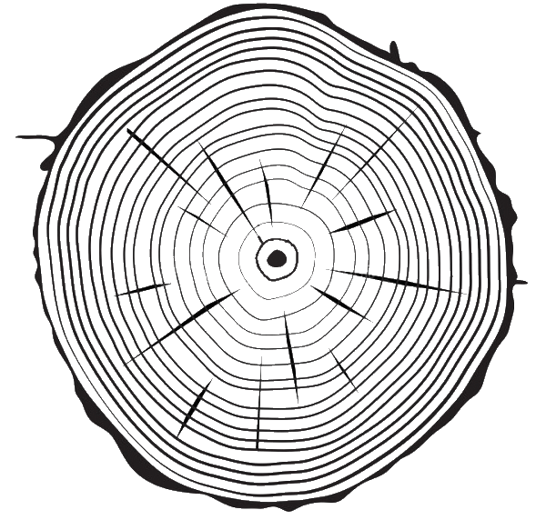 ringen-van-boomstam
