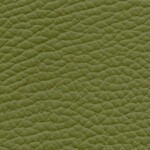 tafelsenstoelen.nl -Toledo Apple Green