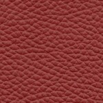 tafelsenstoelen.nl -Toledo Red